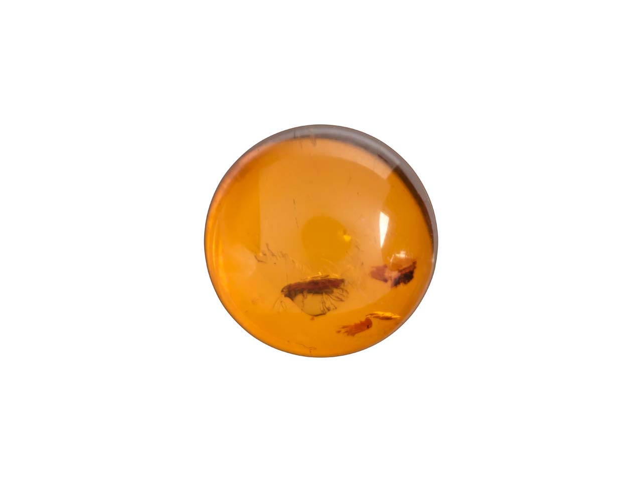 Natural Amber, Round Cabochon, 8mm Questions & Answers