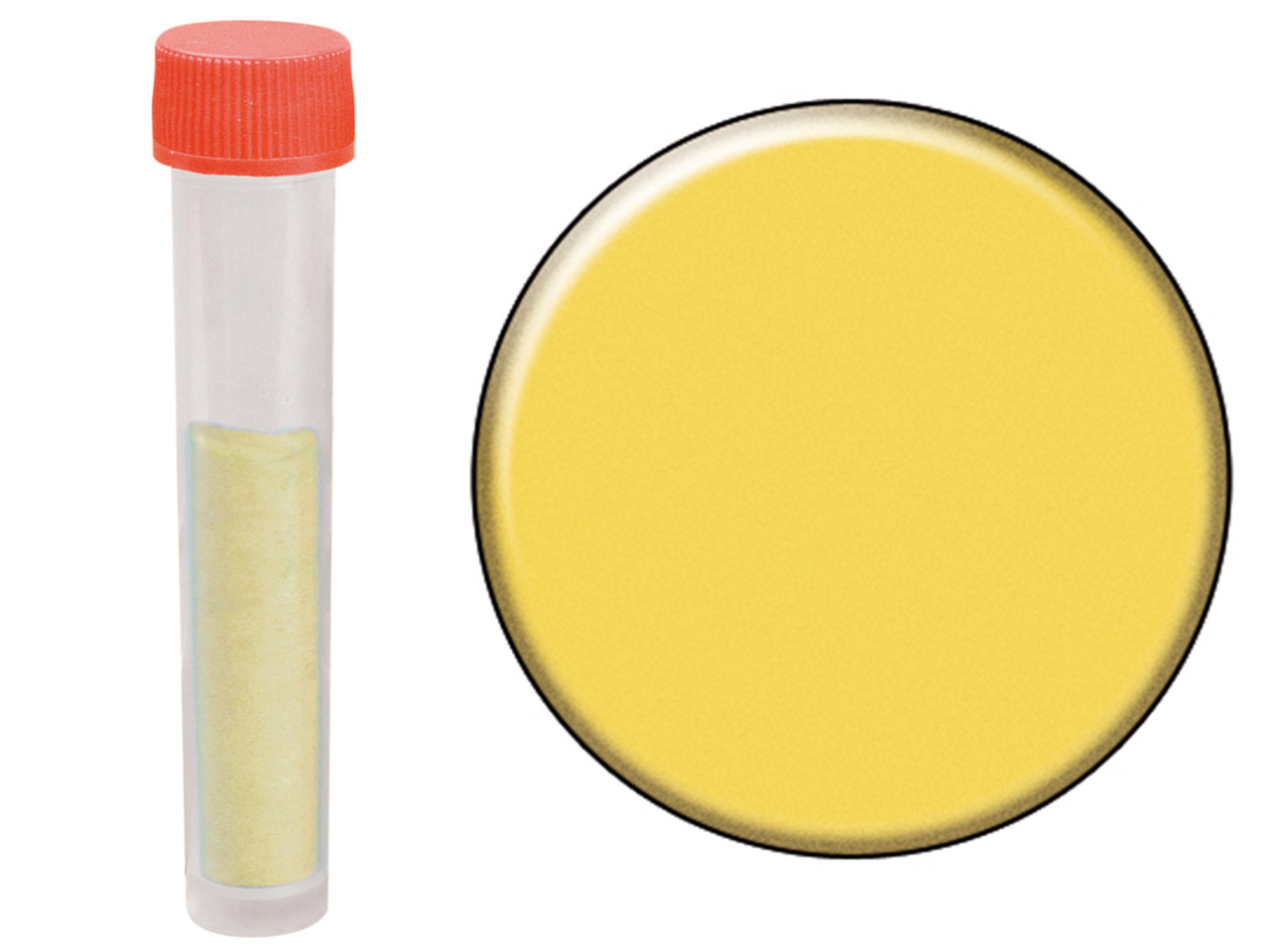 Latham Opaque Enamel Sunflower O105 15gm Questions & Answers